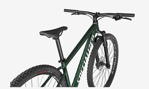 Specialized 2024 rockhopper green